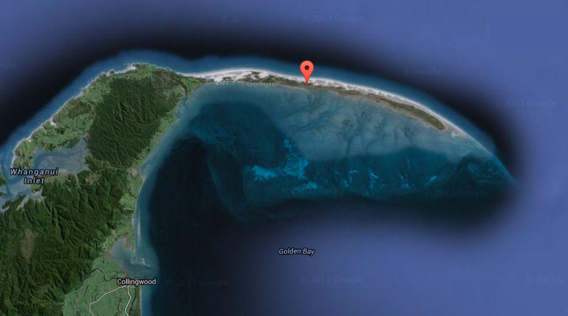 Illustration for article titled Nearly 200 Whales Are Stranded At New Zealand's Farewell Spit